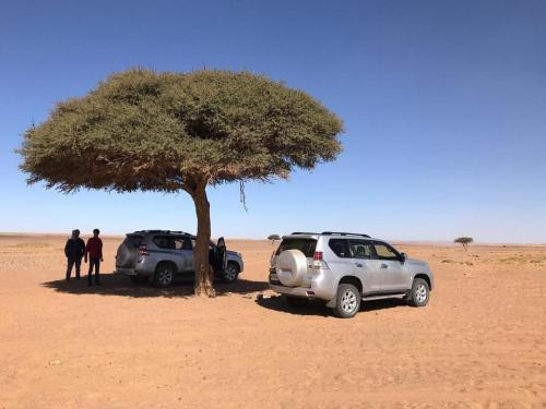 4x4-in-sahara-desert